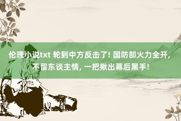 伦理小说txt 轮到中方反击了! 国防部火力全开， 不留东谈主情， 一把揪出幕后黑手!