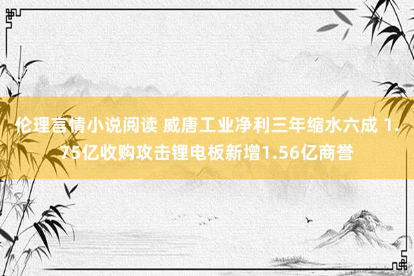 伦理言情小说阅读 威唐工业净利三年缩水六成 1.75亿收购攻击锂电板新增1.56亿商誉