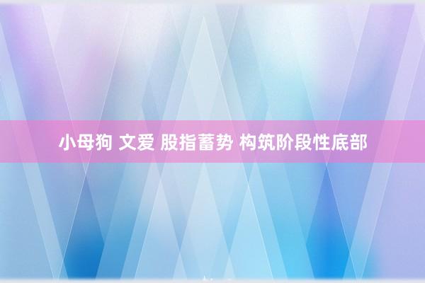 小母狗 文爱 股指蓄势 构筑阶段性底部