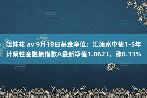 姐妹花 av 9月18日基金净值：汇添富中债1-5年计策性金融债指数A最新净值1.0623，涨0.13%