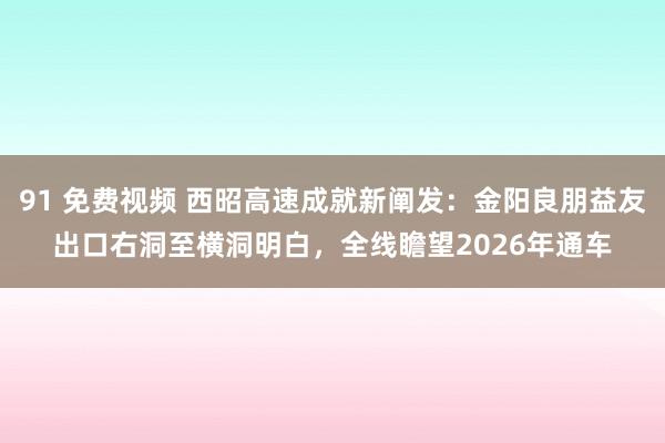 91 免费视频 西昭高速成就新阐发：金阳良朋益友出口右洞至横洞明白，全线瞻望2026年通车