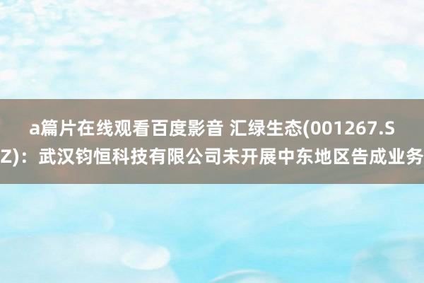 a篇片在线观看百度影音 汇绿生态(001267.SZ)：武汉钧恒科技有限公司未开展中东地区告成业务