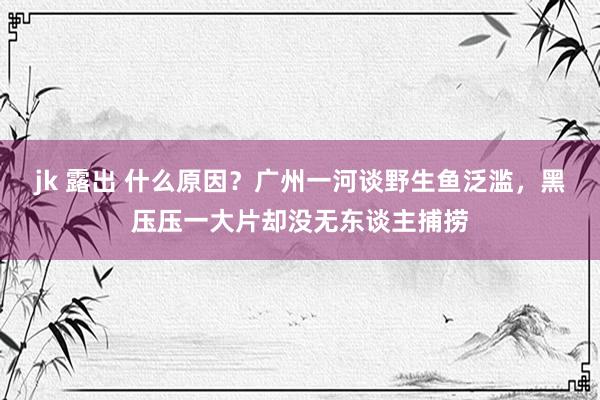 jk 露出 什么原因？广州一河谈野生鱼泛滥，黑压压一大片却没无东谈主捕捞