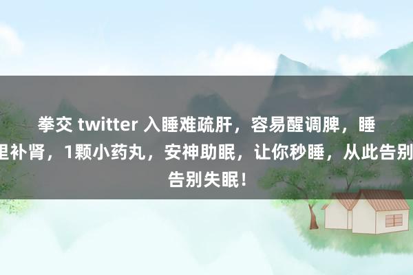 拳交 twitter 入睡难疏肝，容易醒调脾，睡不千里补肾，1颗小药丸，安神助眠，让你秒睡，从此告别失眠！