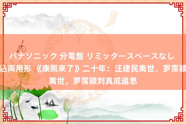 パナソニック 分電盤 リミッタースペースなし 露出・半埋込両用形 《康熙来了》二十年：汪建民离世，罗霈颖刘真成追思