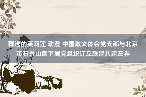 葬送的芙莉莲 动漫 中国散文体会党支部与北京市石景山区下层党组织订立联建共建左券