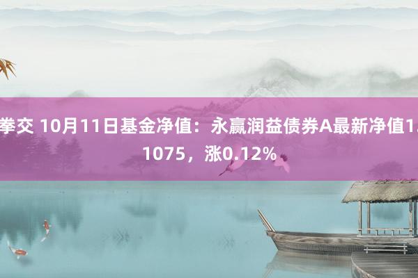 拳交 10月11日基金净值：永赢润益债券A最新净值1.1075，涨0.12%