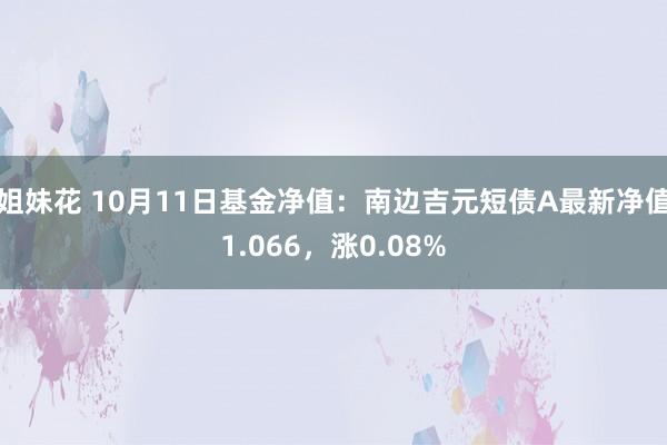 姐妹花 10月11日基金净值：南边吉元短债A最新净值1.066，涨0.08%