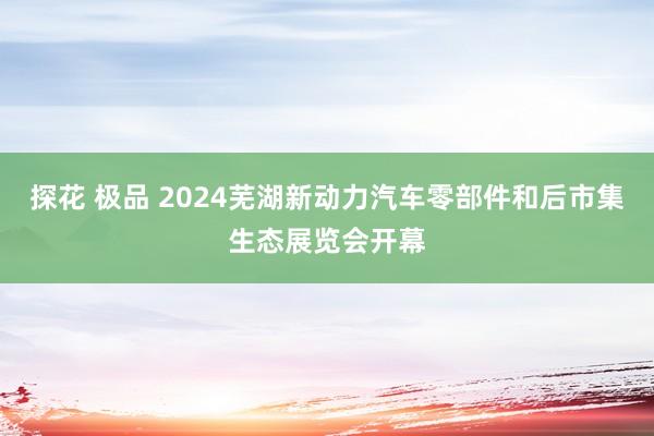 探花 极品 2024芜湖新动力汽车零部件和后市集生态展览会开幕