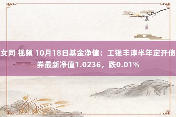 女同 视频 10月18日基金净值：工银丰淳半年定开债券最新净值1.0236，跌0.01%