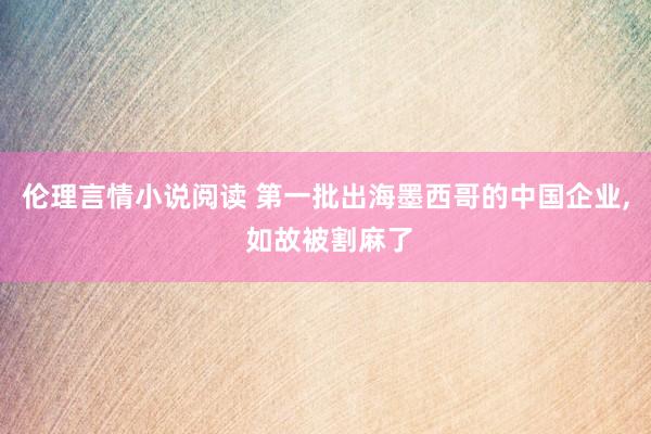 伦理言情小说阅读 第一批出海墨西哥的中国企业， 如故被割麻了