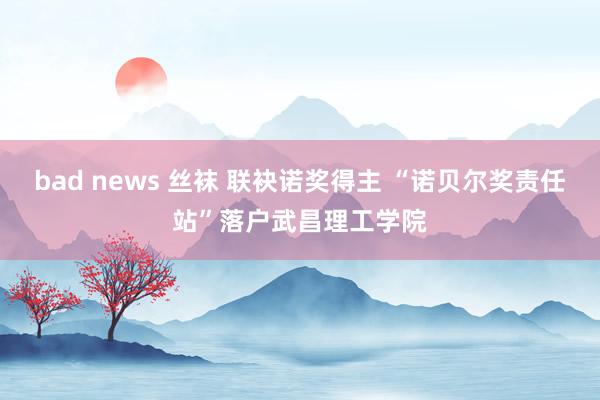 bad news 丝袜 联袂诺奖得主 “诺贝尔奖责任站”落户武昌理工学院