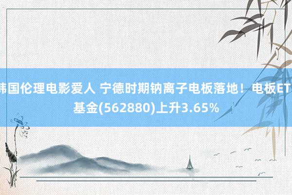 韩国伦理电影爱人 宁德时期钠离子电板落地！电板ETF基金(562880)上升3.65%