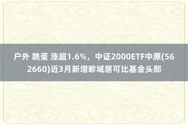 户外 跳蛋 涨超1.6%，中证2000ETF中原(562660)近3月新增畛域居可比基金头部