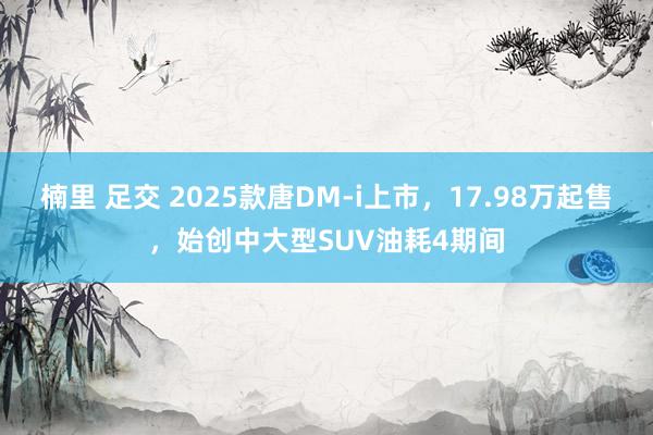 楠里 足交 2025款唐DM-i上市，17.98万起售，始创中大型SUV油耗4期间