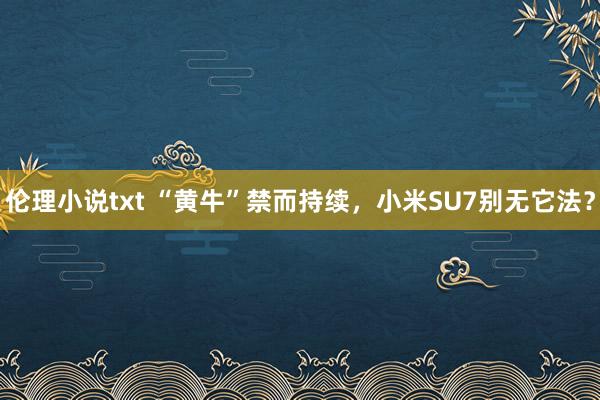 伦理小说txt “黄牛”禁而持续，小米SU7别无它法？