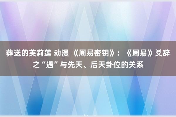 葬送的芙莉莲 动漫 《周易密钥》：《周易》爻辞之“遇”与先天、后天卦位的关系