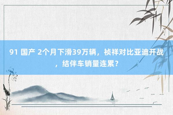 91 国产 2个月下滑39万辆，祯祥对比亚迪开战，结伴车销量连累？