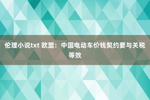 伦理小说txt 欧盟：中国电动车价钱契约要与关税等效