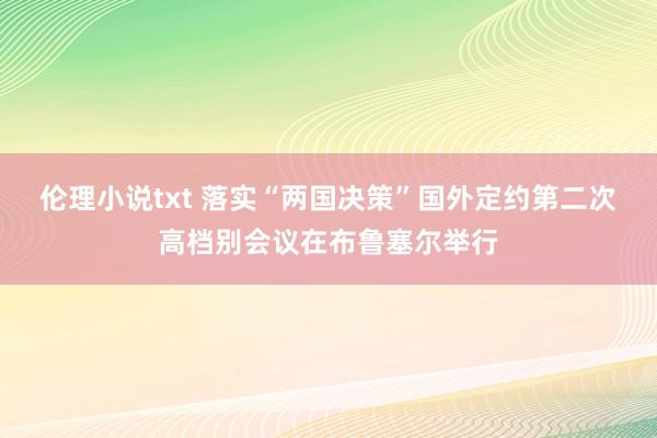 伦理小说txt 落实“两国决策”国外定约第二次高档别会议在布鲁塞尔举行