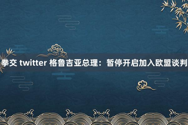 拳交 twitter 格鲁吉亚总理：暂停开启加入欧盟谈判