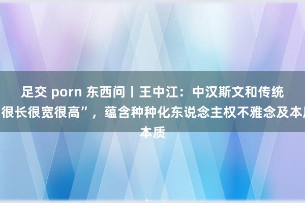 足交 porn 东西问丨王中江：中汉斯文和传统“很长很宽很高”，蕴含种种化东说念主权不雅念及本质