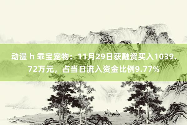 动漫 h 乖宝宠物：11月29日获融资买入1039.72万元，占当日流入资金比例9.77%