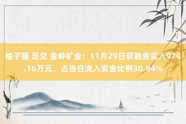 柚子猫 足交 金岭矿业：11月29日获融资买入974.16万元，占当日流入资金比例30.84%