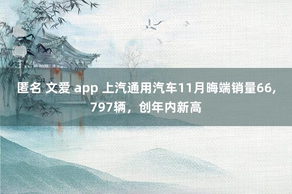 匿名 文爱 app 上汽通用汽车11月晦端销量66，797辆，创年内新高