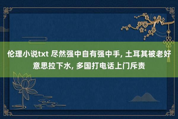 伦理小说txt 尽然强中自有强中手， 土耳其被老好意思拉下水， 多国打电话上门斥责