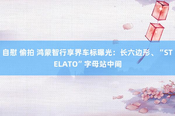 自慰 偷拍 鸿蒙智行享界车标曝光：长六边形、“STELATO”字母站中间