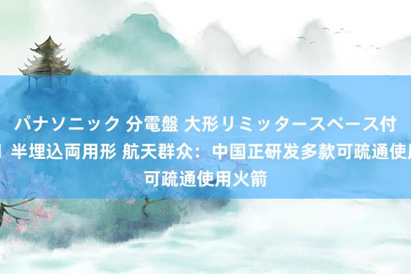 パナソニック 分電盤 大形リミッタースペース付 露出・半埋込両用形 航天群众：中国正研发多款可疏通使用火箭