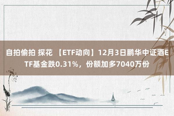 自拍偷拍 探花 【ETF动向】12月3日鹏华中证酒ETF基金跌0.31%，份额加多7040万份