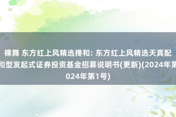 裸舞 东方红上风精选搀和: 东方红上风精选天真配置搀和型发起式证券投资基金招募说明书(更新)(2024年第1号)