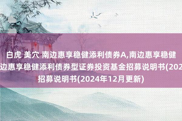 白虎 美穴 南边惠享稳健添利债券A，南边惠享稳健添利债券C: 南边惠享稳健添利债券型证券投资基金招募说明书(2024年12月更新)