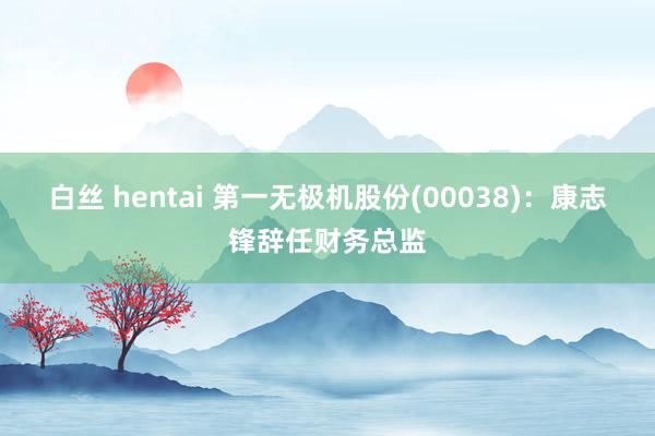 白丝 hentai 第一无极机股份(00038)：康志锋辞任财务总监