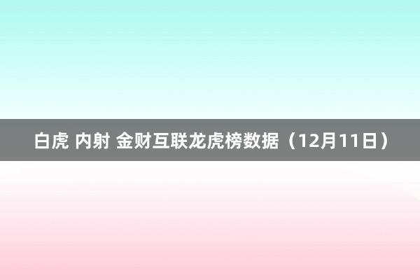 白虎 内射 金财互联龙虎榜数据（12月11日）