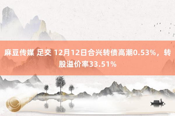 麻豆传媒 足交 12月12日合兴转债高潮0.53%，转股溢价率33.51%