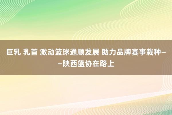 巨乳 乳首 激动篮球通顺发展 助力品牌赛事栽种——陕西篮协在路上