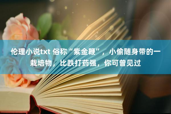 伦理小说txt 俗称“紫金鞭”，小偷随身带的一栽培物，比跌打药强，你可曾见过