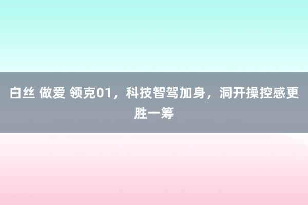 白丝 做爱 领克01，科技智驾加身，洞开操控感更胜一筹