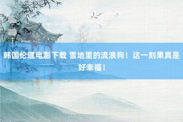 韩国伦理电影下载 雪地里的流浪狗！这一刻果真是好幸福！