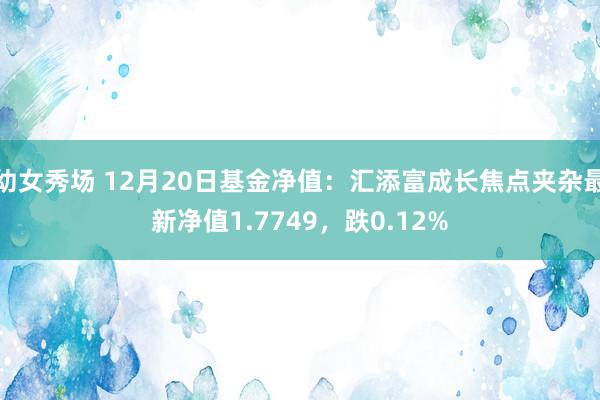 幼女秀场 12月20日基金净值：汇添富成长焦点夹杂最新净值1.7749，跌0.12%