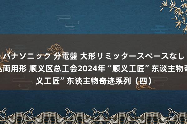 パナソニック 分電盤 大形リミッタースペースなし 露出・半埋込両用形 顺义区总工会2024年“顺义工匠”东谈主物奇迹系列（四）