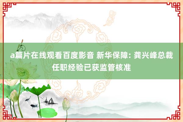 a篇片在线观看百度影音 新华保障: 龚兴峰总裁任职经验已获监管核准