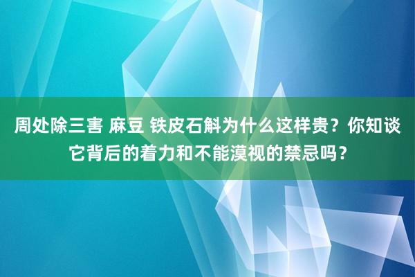 周处除三害 麻豆 铁皮石斛为什么这样贵？你知谈它背后的着力和不能漠视的禁忌吗？