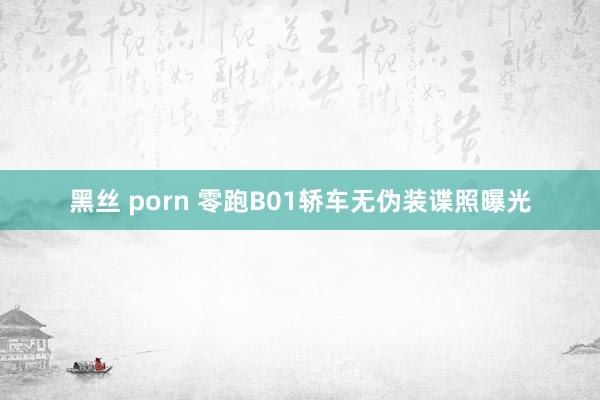 黑丝 porn 零跑B01轿车无伪装谍照曝光