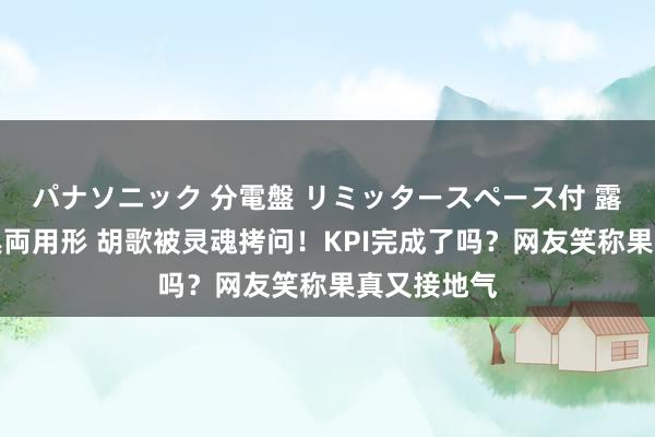 パナソニック 分電盤 リミッタースペース付 露出・半埋込両用形 胡歌被灵魂拷问！KPI完成了吗？网友笑称果真又接地气