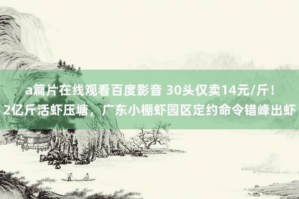 a篇片在线观看百度影音 30头仅卖14元/斤！2亿斤活虾压塘，广东小棚虾园区定约命令错峰出虾