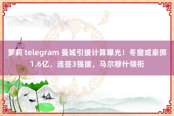 萝莉 telegram 曼城引援计算曝光！冬窗或豪掷1.6亿，连签3强援，马尔穆什领衔